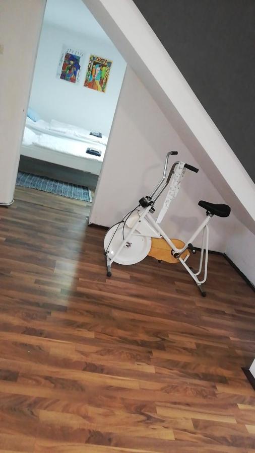Apartman Romy Pančevo Pokój zdjęcie
