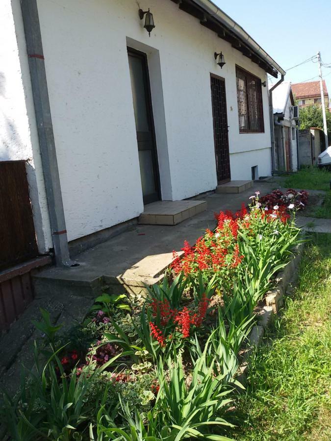 Apartman Romy Pančevo Zewnętrze zdjęcie